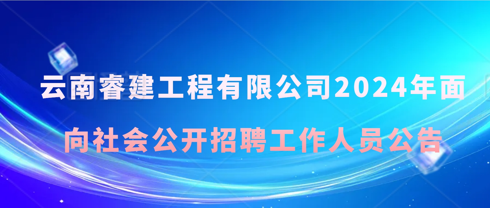 云南睿建工程有限公司2024年面向社会公开招聘工作人员公告